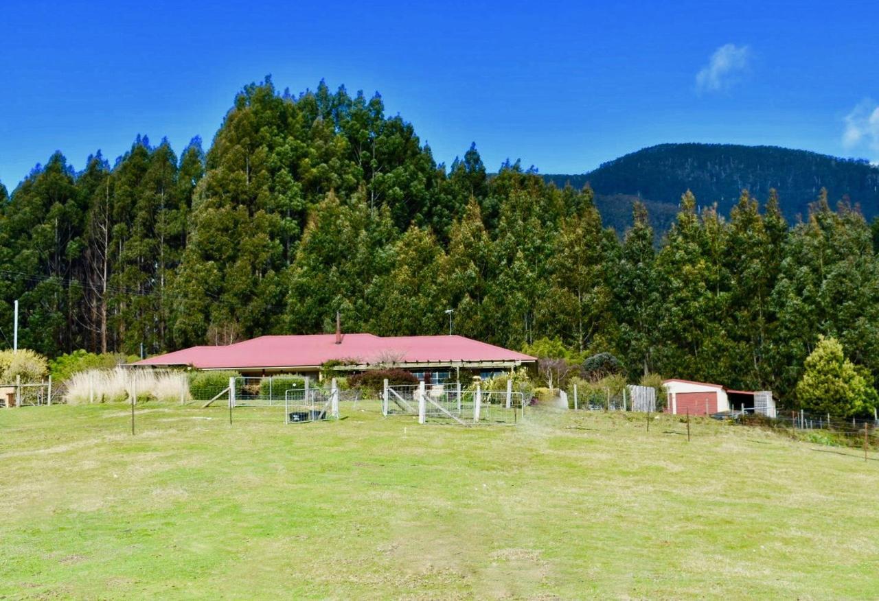 Maydena Mountain Cabins Exterior foto